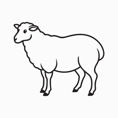 Obraz premium merino sheep vector art illustration