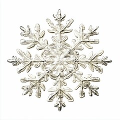 Intricate silver snowflake winter design detail