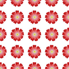 Flower n94