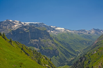  Pink common rhododendron flowers, selective focus with blurry mountains in the background in La Vanoise nature reserve, France - Rhododendron ponticum
