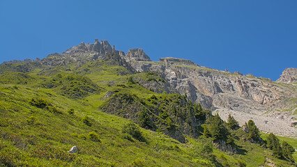  Mountains with forest and granite tops in Vanoise national park, France 
