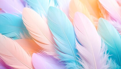 Obraz premium colorful feathers background