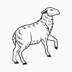 Obraz premium merino sheep vector art illustration