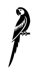 parrot standing on a tree branch