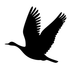 birds fly to migrate. Isolated on white