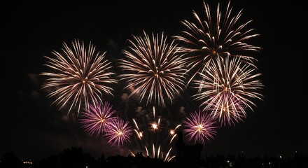 Obraz premium Fireworks Display at Night