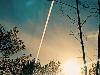 airplane trail in blue and orange sky over sunlit tree tops with light veil effect