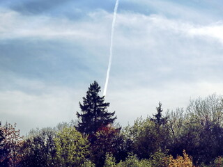 plane trail over pine tree and forest, clear sky with natural landscape