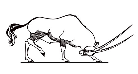 Vector card with hand drawn graceful oryx with its head down. Ink drawing, graphic style. Beautiful African wildlife illustration, logo template