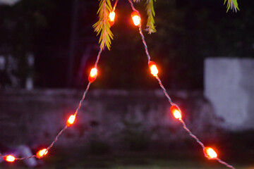 lighting on tree at night, Night theme garden decoration with tree decorated with light bulb, Wedding ceremony evening with candles and lamps in the coniferous pine forest