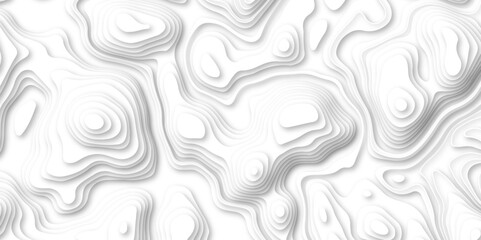 Abstract wavy line 3d paper cut white background. white and gray luxury grid topography map and satin smooth wallpaper matt paper light texture. White waves decorative papercut design.