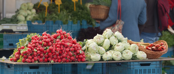 A diverse selection of fresh vegetables including radishes and kohlrabi showcased at a market stall, emphasizing healthy eating and local produce sourced from farmers.