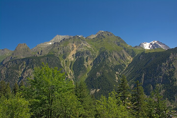 Fototapeta premium Alpine mountains with pine forest and granite tops in La Vanoise national park, France 