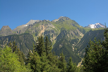 Fototapeta premium Alpine mountains with pine forest and granite tops in La Vanoise national park, France 