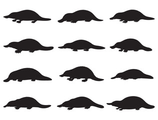 PLATYPUS SILHOUETTE WHITE BACKGROUND