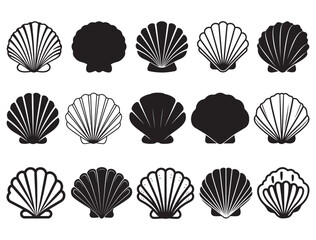 SEASHELLS SILHOUETTE WHITE BACKGROUND