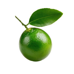 Title: Fresh Whole Calamansi with Smooth Green Skin on Transparent Background

