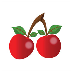 Two realistic vector cherries with Leaf isolated on white background