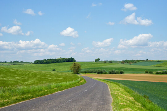 Agricultural fieds along the D101country road.  Ch&acirc;tenay-sur-Seine village in &Icirc;le-de-France Region
