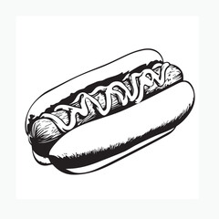 hot dog vector illustration