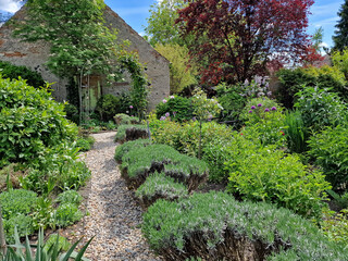 A pebble path in a lavender garden.
