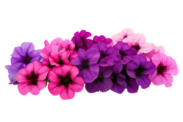 Stunning Pink and Purple Petunias Bouquet . Transparent background PNG