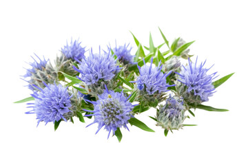 Obraz premium Stunning Cluster of Purple Flowers . Transparent background PNG