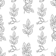 Pattern for textile or kitchen in hand draw style. Monochrome pattern