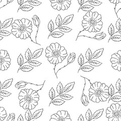 Pattern for textile or kitchen in hand draw style. Monochrome pattern