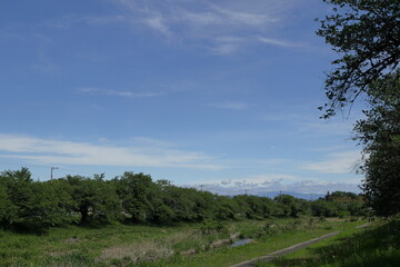 日本　埼玉の風景