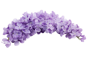 Delicate Purple Lilac Bouquet . Transparent background PNG