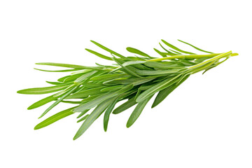 Fresh Aromatic Herbs: A Vibrant Culinary Delight . Transparent background PNG