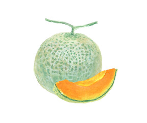 水彩絵の具で描いた赤肉メロンのイメージ