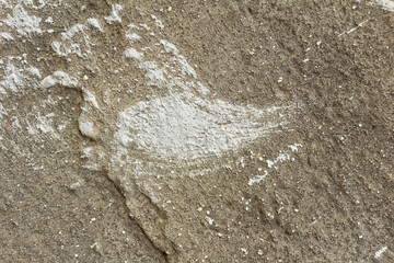Realistic Grey Background with Rough Concrete Plaster Wall Texture. Ideal for Creative Project or Design.