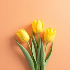 Naklejka premium Sunlit Yellow Tulips in Delicate Coral Hues