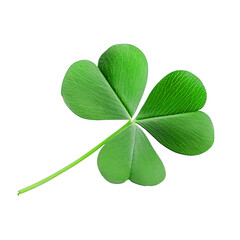 Green Tree Clover Leaf Luck Isolated on PNG Transparent Background

