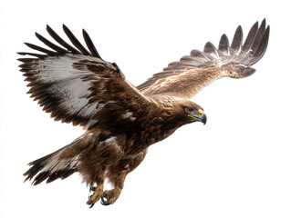 A brown eagle in flight, with wings spread wide and talons extended Lighting suggests natural daylight from an overcast sky or early morninglate afternoon No text present, realistic - AI-Generated