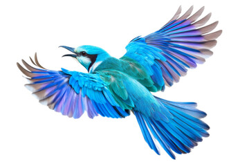 Obraz premium Stunning Blue Bird in Flight . Transparent background PNG