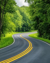 Fototapeta premium Winding road through lush green forest landscape perspective view travel adventure scenic route nature drive journey