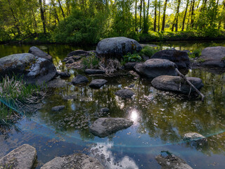 A small stream in the middle of a forest filled with rocks