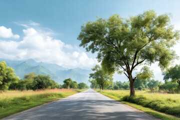 Fototapeta premium Country Road Through Lush Green Landscape