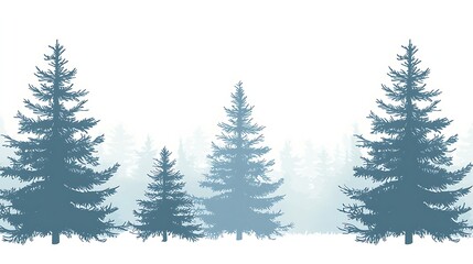 Fototapeta premium Winter pine forest with white fog and minimalistic composition.