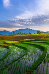 beautiful morning view from Indonesia of mountains and tropical forest