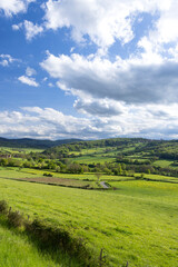 Green fields covering the hills of Bourgogne Franche Comte in France under cloudy sky