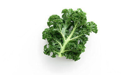 Obraz premium Kale realistic stock photo on a white background wit 1721154083 1