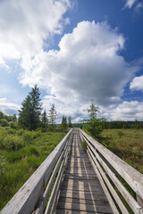 Wooden boardwalk crossing wetlands in the Bieszczady Mountains, Poland, on a sunny day with cumulus clouds