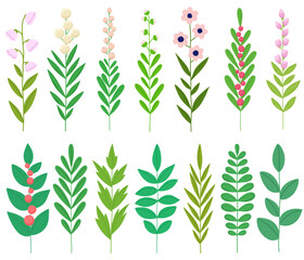 Green twigs and flowering branches collection, plant decorative isolates.