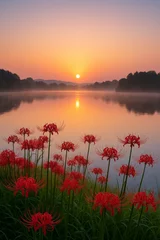 Fototapete Zonsopkomst boven meer met bloemen op voorgrond © Minimalist products
