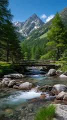 Fototapete Scenic Mountain Landscape with Forest River Flowing Under a Rustic Wooden Bridge Tranquil Nature Scenery with Evergreen Trees and Snowy Peaks © GenMotion
