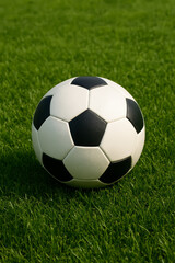 Fototapeta premium soccer ball on grass